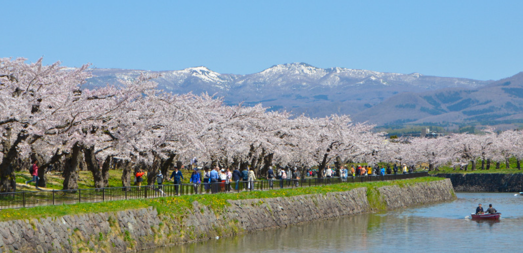 Goryokaku Park