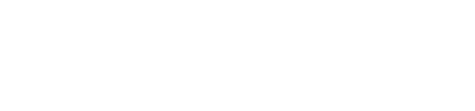 logoairopass Logo